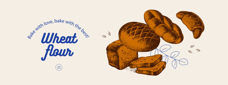 Hand drawn bakery banner. Vintage bread, loaf and croissant sketch vector illustration. Retro collage menu