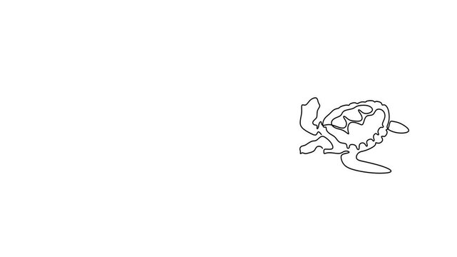 Animated self drawing of continuous line draw of   sea turtles in continuous line. Logo. Full length one line animation. 4K	