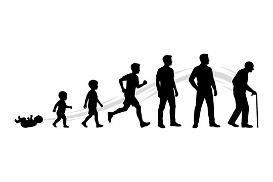Human aging process silhouettes showing male life stages on white