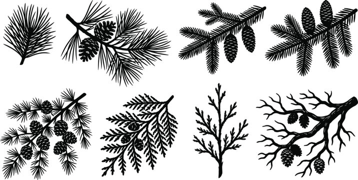 Black and white woodcut style vector illustration set of coniferous tree branches and pine cones for winter nature designs