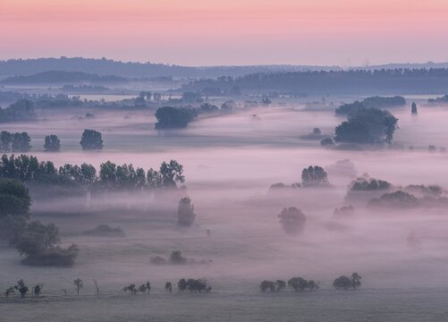 View from the Teufelsmauer (Devil's Wall) into the Harz foothills, landscape with trees and fields in fog and at dawn, Teufelsmauer nature reserve, near Blankenburg, Harz, Saxony-Anhalt, Germany