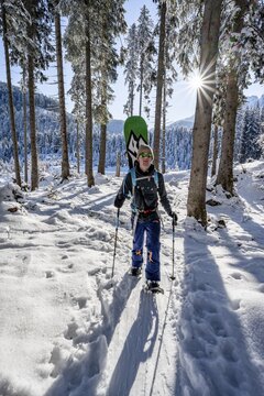 Snowshoe hiker in snowy winter forest, Sonnenstern, Ascent to Teufelst&auml;ttkopf, Snowy mountain landscape, Ammergau Alps, Bavaria, Germany