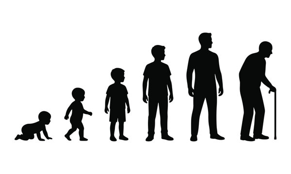 Human life cycle silhouettes showing male growth stages