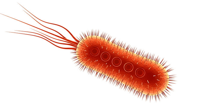 3d render of a bacterium cell with flagella isolated on transparent background