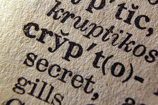 Word crypto on dictionary page, macro close up