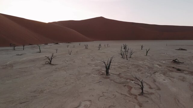 Aerial view of deadvlei with ancient dead trees, surrounded by majestic red dunes in namibia, sossusvlei national park