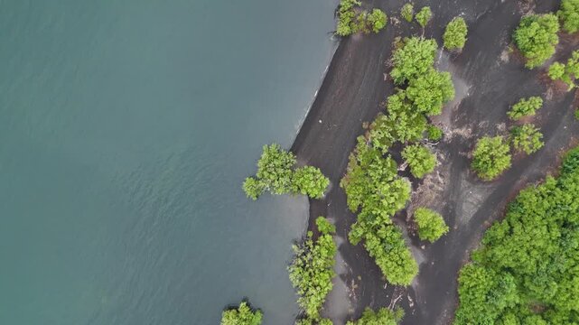 Aerial topdown drone shot of dark volcanic beach, mangroves meeting teal lake water, Chile.