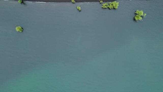 Drone tilts from turquoise lake to black volcanic sand beach with mangroves, Villarrica, Chile.