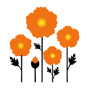 Flat Design Orange Poppy Flowers Illustration