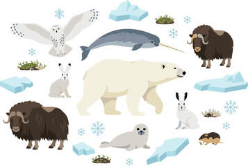 Arctic Wildlife Ecosystem Vector Collection Featuring Polar Bear, Musk Ox, Narwhal, Snowy Owl, Arctic Hare, Seal, and Tundra Animals © MdNazmul