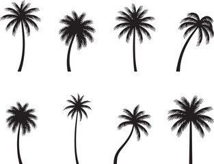 Fototapeta premium Set of tropical palm tree silhouettes vector collection, isolated black coconut trees, exotic summer nature icons on white background