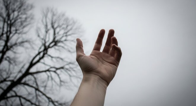 Human hand reaching upward against a cloudy sky with silhouettes of bare winter tree branches