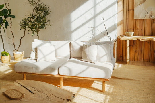 Sofa with pillows in sunny room with plants and natural wood desk, warm light