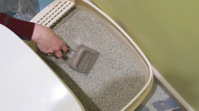 person levels cat litter in large box with scoop for pet hygiene. proper hygiene keeps home clean and safe for furry animals. daily hygiene is essential for good pet care and health.