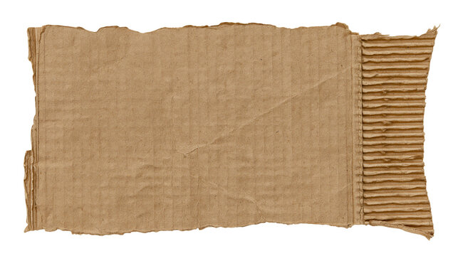 Torn corrugated cardboard sheet with rough edges