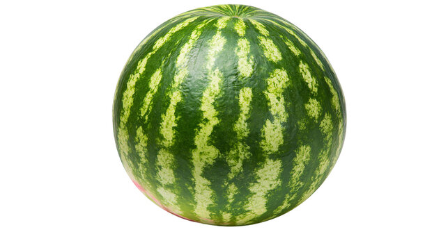 Whole striped watermelon with green and yellow rind