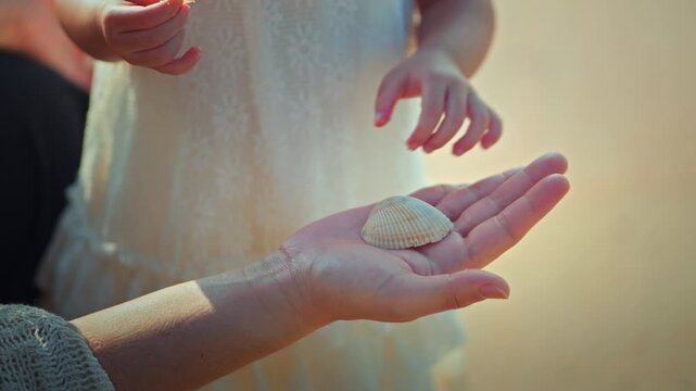 Close up of little Asian girl touching seashell on her mother hand at beach during sunset, happy child exploring sea shells with parents on summer family vacation for childhood, love, and parenting