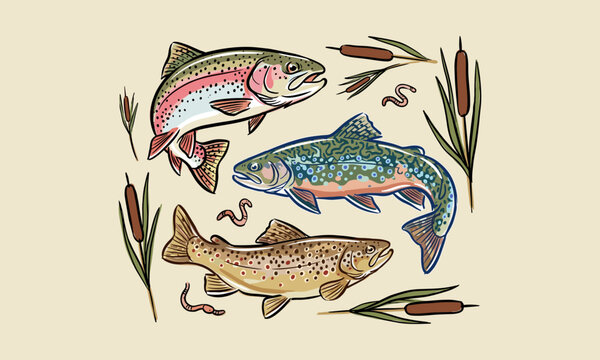Vintage illustration of rainbow, brook, and brown trout with fishing worms and pond cattails