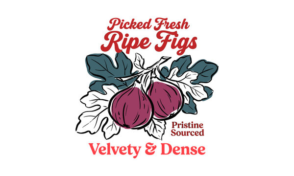 Vintage illustration of ripe purple figs with green leaves and retro typography label design.