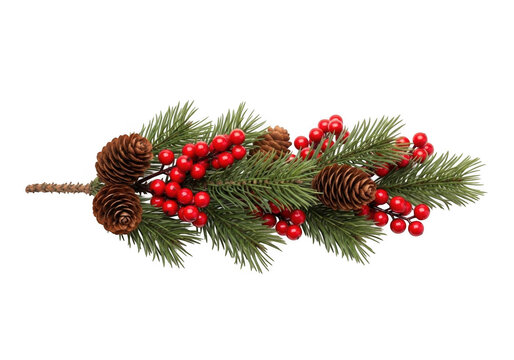 Fresh green holly branch with red berries and decorative foliage