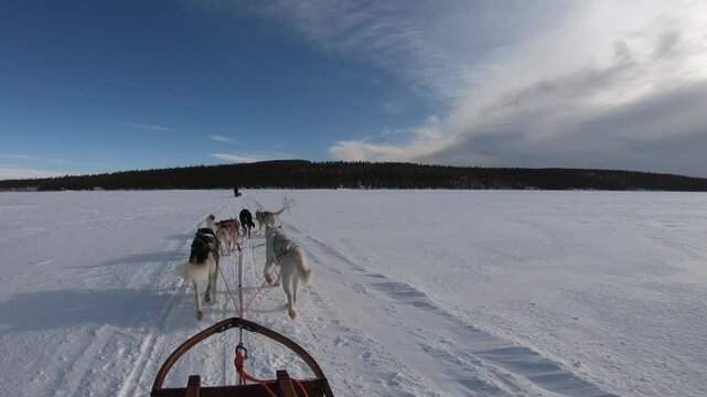 Epic husky ride through frozen wilderness in Swedish Lapland, scenic Arctic travel video