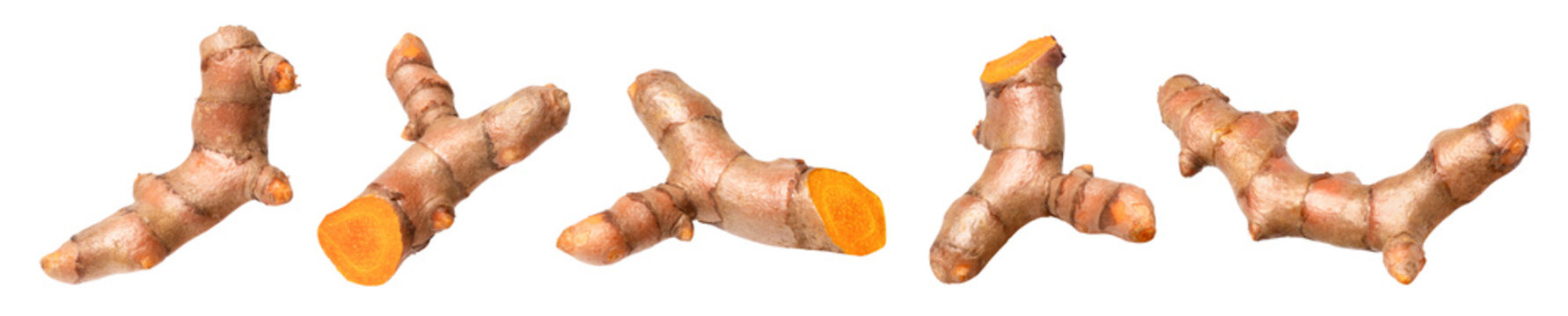 set of turmeric root on transparent background