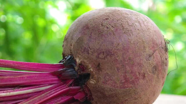 fresh beetroot on wooden background