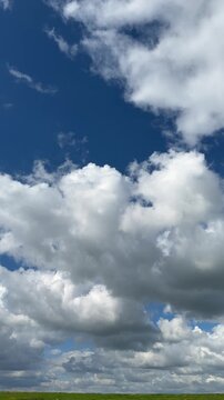 Sunny Blue Sky Over Green Wheat Fields with White Clouds &mdash; Scenic Nature Landscape in Summer Daylight 4K HDR