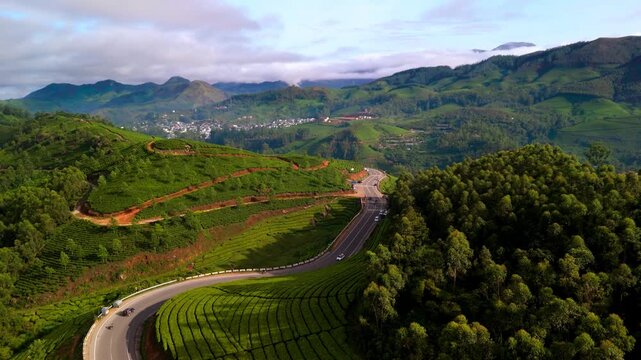 Scenic Aerial View of Winding Road Passing Through Lush Green Tea Plantations in Munnar with Rolling Hills, Misty Mountain Landscape, Tropical Agriculture, Peaceful Countryside Scenery and Beautiful K