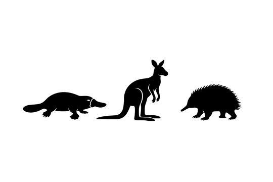 Australian animal silhouettes of platypus kangaroo and echidna