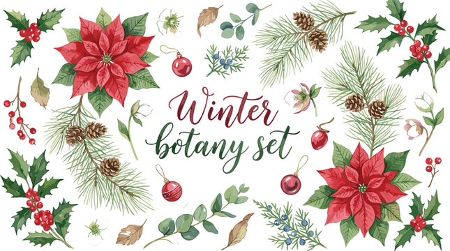 Winter botany vector element set with watercolor poinsettia flowers holly berries pine cones and christmas foliage