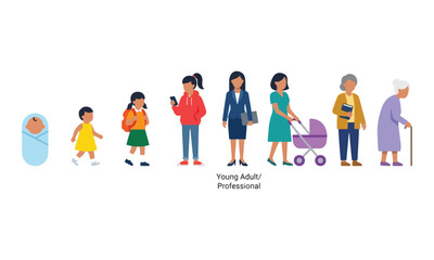 Fototapeta premium Female Life Cycle Stages Vector Illustration