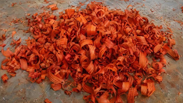 Curly, orange-red wood shavings from padauk piled on a workshop floor.
