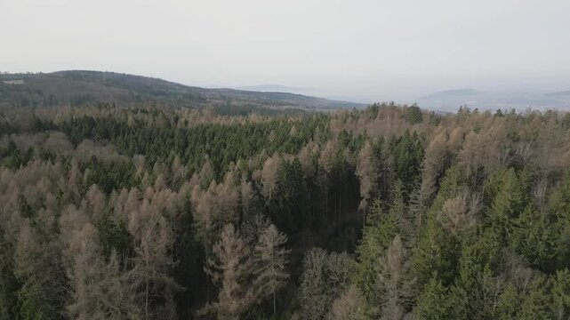 Aerial drone panorama captures the vast mixed forests of the Brdy highlands near Rochota during early spring, showing a blend of evergreen conifers and leafless deciduous trees across rolling hills.