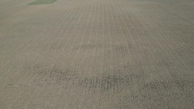 Aerial drone view captures a vast, empty agricultural field with freshly plowed dry soil. The surface shows textured tractor tire tracks and linear cultivation lines stretching across the bro