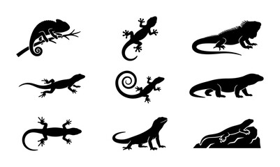 Lizard Silhouette Collection, Reptile Icon Set, Wildlife Vector Graphics, Chameleon, Iguana, Gecko, Komodo Dragon, Nature Elements © Arpita