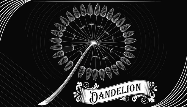 Very beautiful black-and-white engraved vector illustration featuring DANDELION SEED HEAD with intricate seed details, delicate textures, soft engraved background, and a decorative label reading "DAND