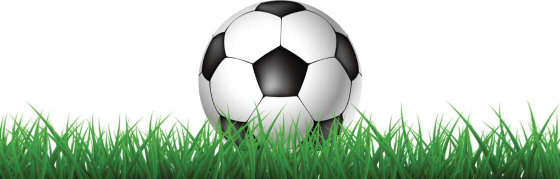 Soccer ball on green grass field with white background