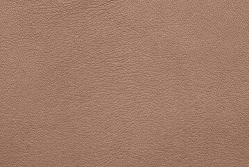 Fototapeta premium Premium matte genuine leather texture, beige peach clay luxury soft grain upholstery background