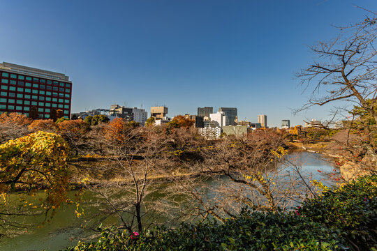 View of the moat and Tokyo cityscape from Kitanomaru Park December 2023