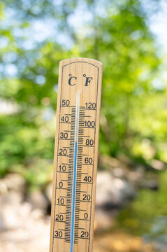 Thermometer on sunny hot day in summer, heatwave, weather forecast in summertime, measure the temperature, trees in forest