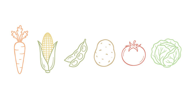 Colorful outline vegetables illustration set featuring various fresh produce items like carrots, corn, edamame, potatoes, tomatoes, and cabbage.
