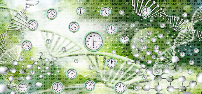 Clocks representing time surrounded by DNA strands and binary numbers in a digital setting. The clocks show different times, indicating a blend of nature and technology.