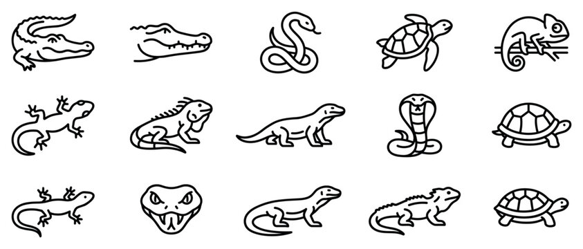 Reptile icons set. Wild animals and wildlife concept. Includes alligator, snake, turtle, chameleon, gecko, iguana, monitor lizard, cobra. Flat and line style