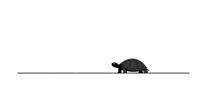 A simple turtle silhouette on a line.