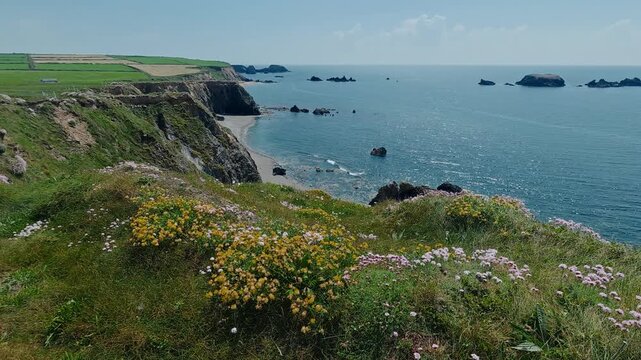 Clifftop covered in flowers dramatic coastline Copper Coast Waterford Ireland in Summer epic locations