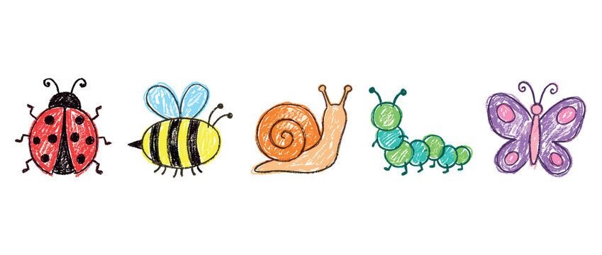 Insect and bug icons set. Cute animal drawings for children. Includes ladybug, bee, snail, caterpillar, butterfly. Hand-drawn crayon style