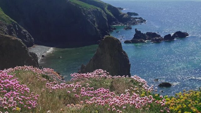 Ireland Epic Locations dreamy summer day Copper Coast Waterford sea pinks on clifftop and shimmering seas and sea stack