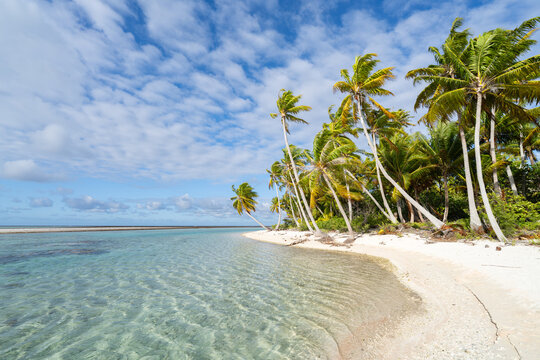Tropical beach, Tikehau Atoll, French Polynesia