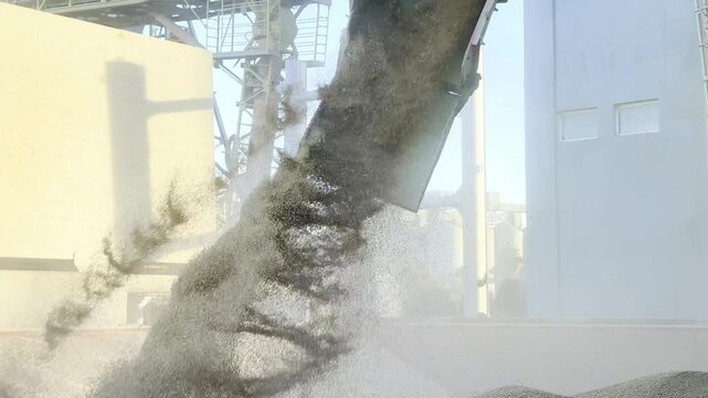 wheat loading to ship hold. port operations. transportation of grain cargo. 